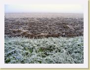 2005-11-19 08-03-10 Novembre 37,6mm 1_60_eme F4,5 * 2592 x 1944 * (1.95MB)